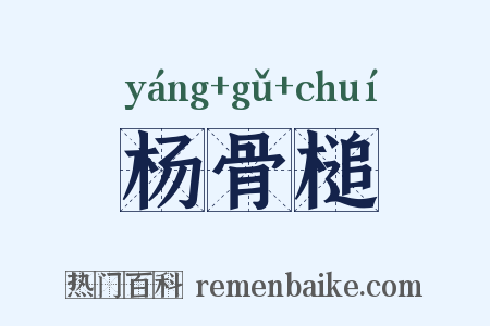 杨骨槌是什么意思的图片